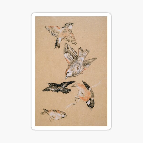Item preview, Family birds on air showing there talent designed and sold by HarrizartShop.