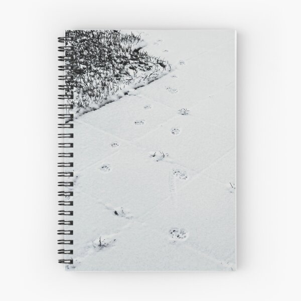 Item preview, Cat tracks in the first fresh snow "Nature Photography" designed and sold by Istvan Ocztos.