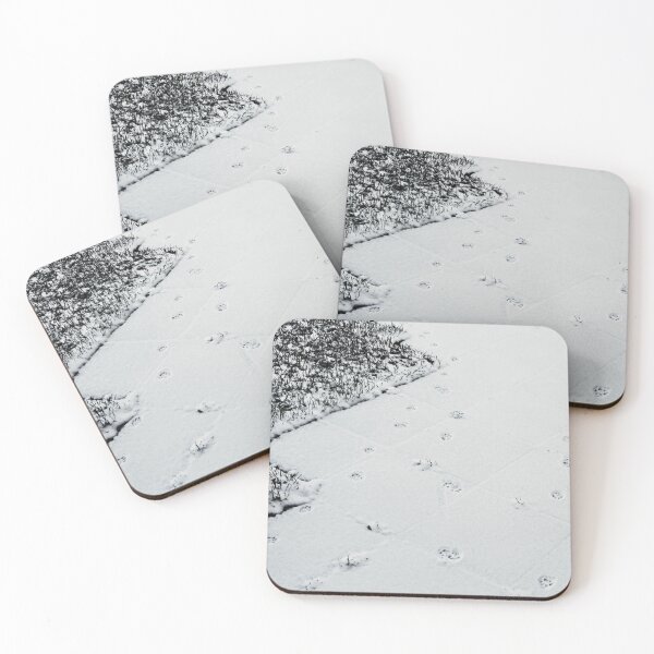 Item preview, Cat tracks in the first fresh snow "Nature Photography" designed and sold by Istvan Ocztos.