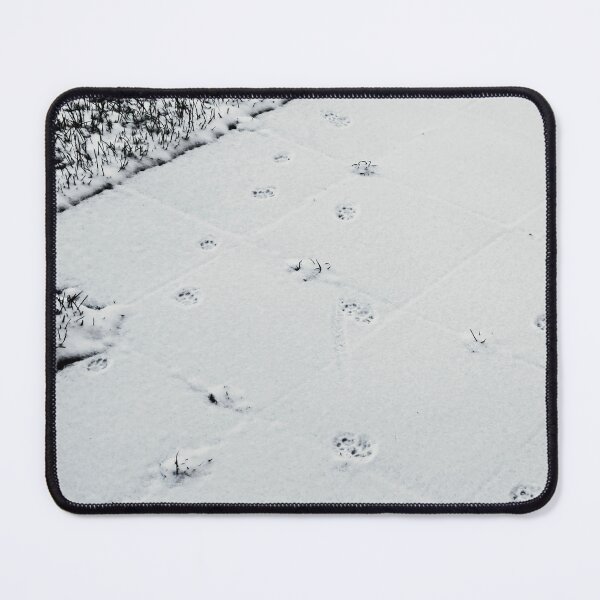 Item preview, Cat tracks in the first fresh snow "Nature Photography" designed and sold by Istvan Ocztos.