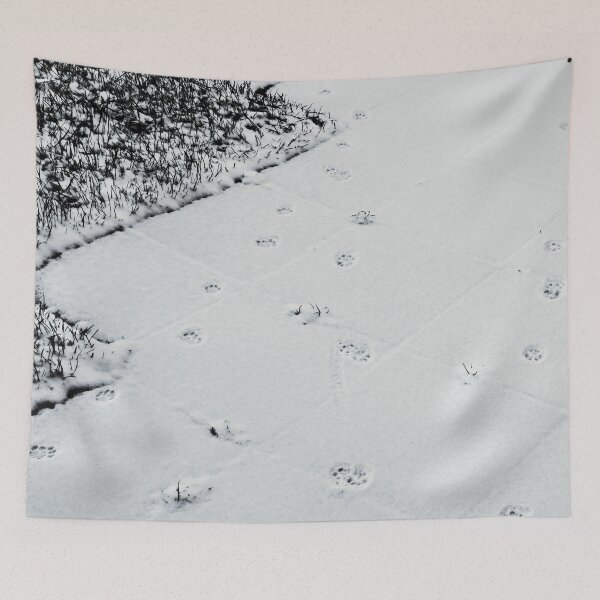 Item preview, Cat tracks in the first fresh snow "Nature Photography" designed and sold by Istvan Ocztos.