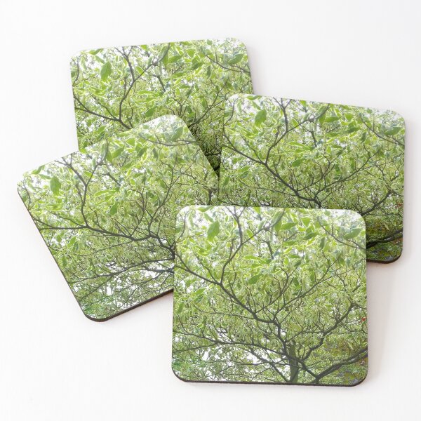 Item preview, Spreading tree branches, a canopy of green and white leaves. designed and sold by claireseyeview.