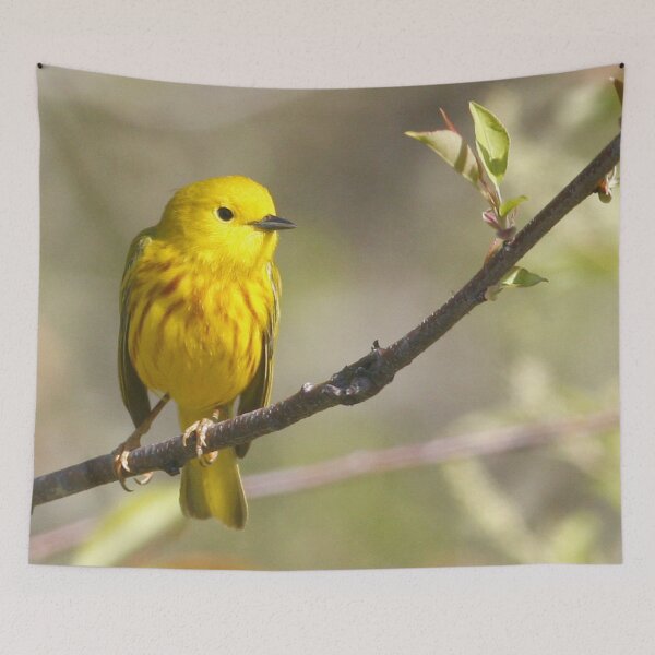 Item preview, Yellow Warbler designed and sold by Enola Gay Wagner.
