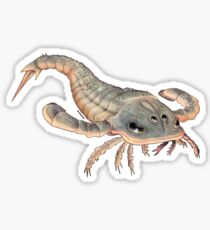eurypterus Sticker