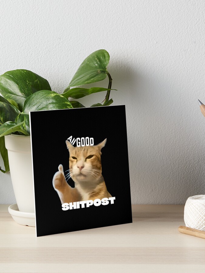 Cat Shitpost meme Art Board Print for Sale by Season's Store