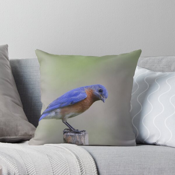 Item preview, Eastern-Bluebird designed and sold by Enola Gay Wagner.