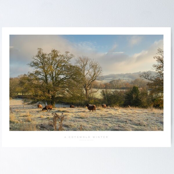 A Cotswold Winter Poster