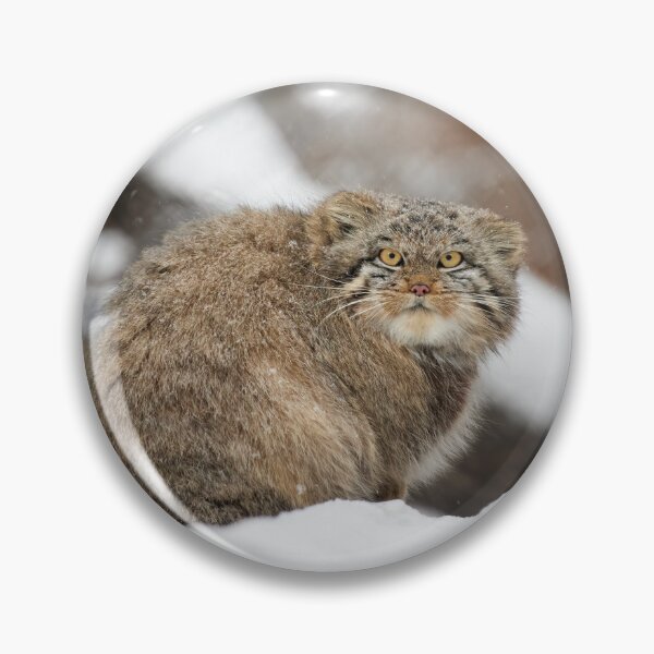 Item preview, Snowflake the Pallas's cat kitten designed and sold by Manulization.