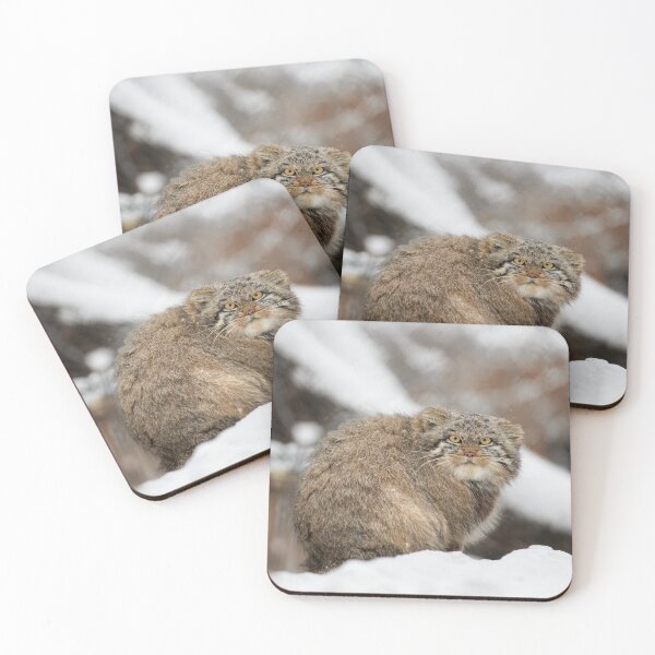 Item preview, Snowflake the Pallas's cat kitten designed and sold by Manulization.
