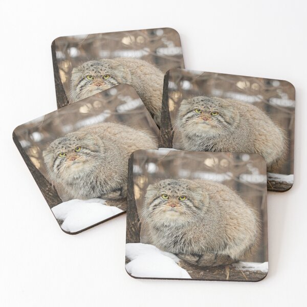 Item preview, Beautiful Eve the Pallas’s cat designed and sold by Manulization.