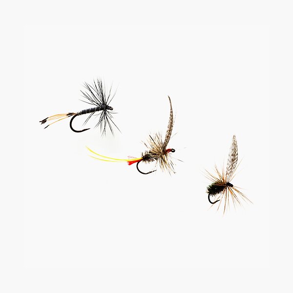 Item preview, Three Fishing Lures designed and sold by ernest123.