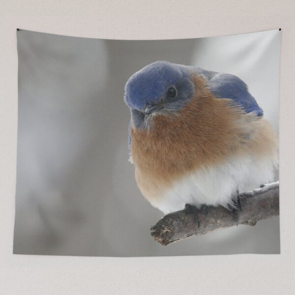 Item preview, Eastern-Bluebird designed and sold by Enola Gay Wagner.
