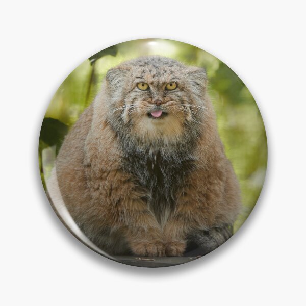 Item preview, Her Majesty Calypso the Pallas's cat designed and sold by Manulization.