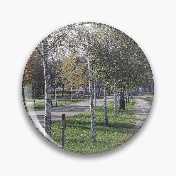 Artikelvorschau, Allee der Birke entworfen und verkauft von barbich.