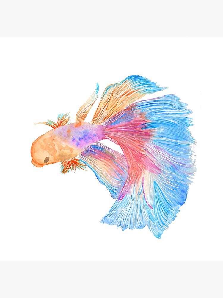 Watercolor beta fish by thevintagenib