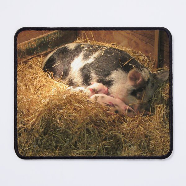 Item preview, Piglets In The Barn designed and sold by lezvee.
