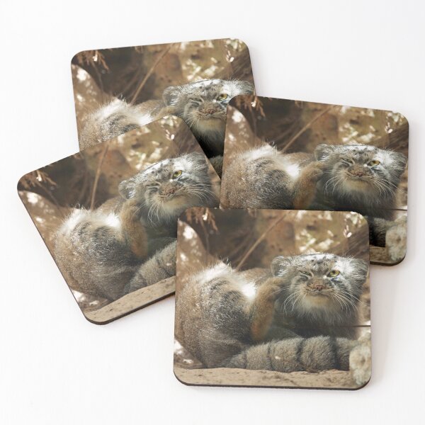 Item preview, Fellini the Pallas's cat from Italy designed and sold by Manulization.