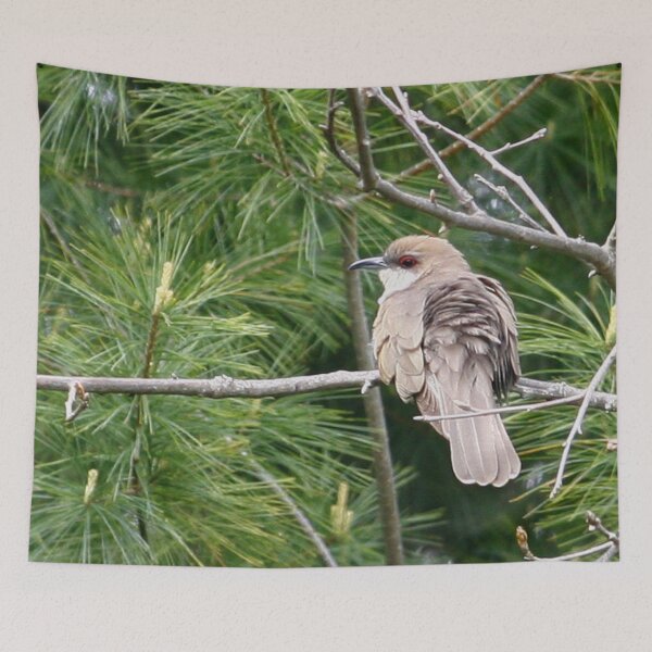 Item preview, Black-billed-Cuckoo designed and sold by Enola Gay Wagner.