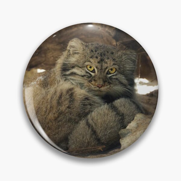 Item preview, Fellini the Pallas's cat from Italy designed and sold by Manulization.
