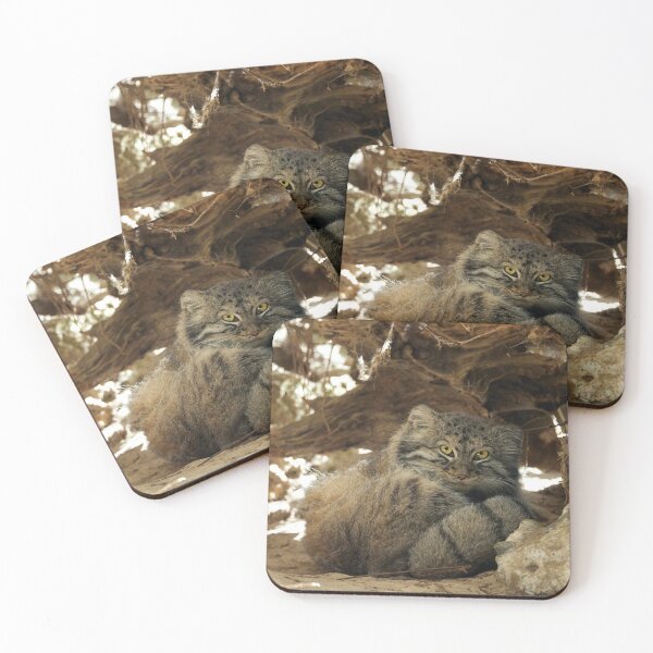 Item preview, Fellini the Pallas's cat from Italy designed and sold by Manulization.