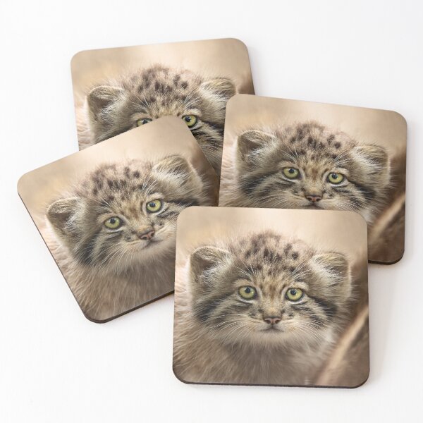 Item preview, A kitten of a Pallas's cat designed and sold by Manulization.