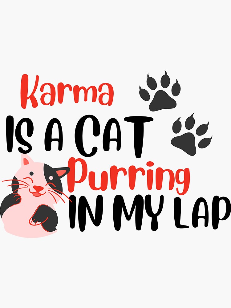 Karma is a cat purring in my lap - Midnights Taylor Swift lyric