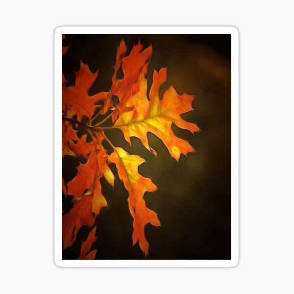 Item preview, Autumn Glow designed and sold by shutterbug2010.