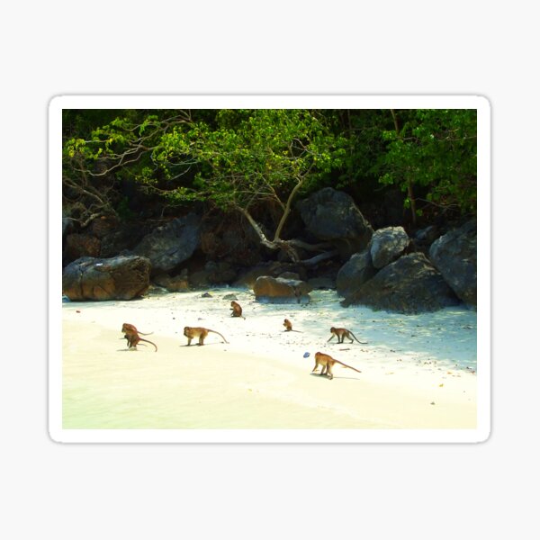 Monkey Beach Sticker
