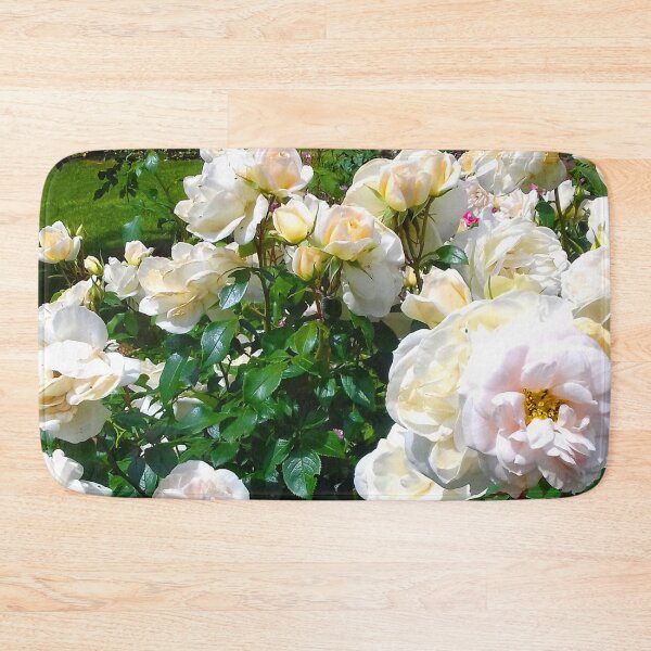 Item preview, Cream roses in full bloom wilting under a hot sun. designed and sold by claireseyeview.