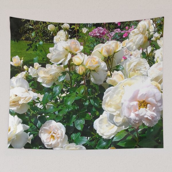 Item preview, Cream roses in full bloom wilting under a hot sun. designed and sold by claireseyeview.