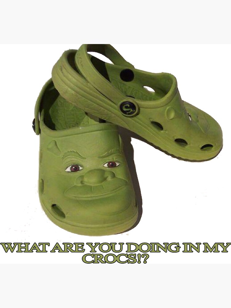 oh you thought id get shrek crocs and not immediately do a