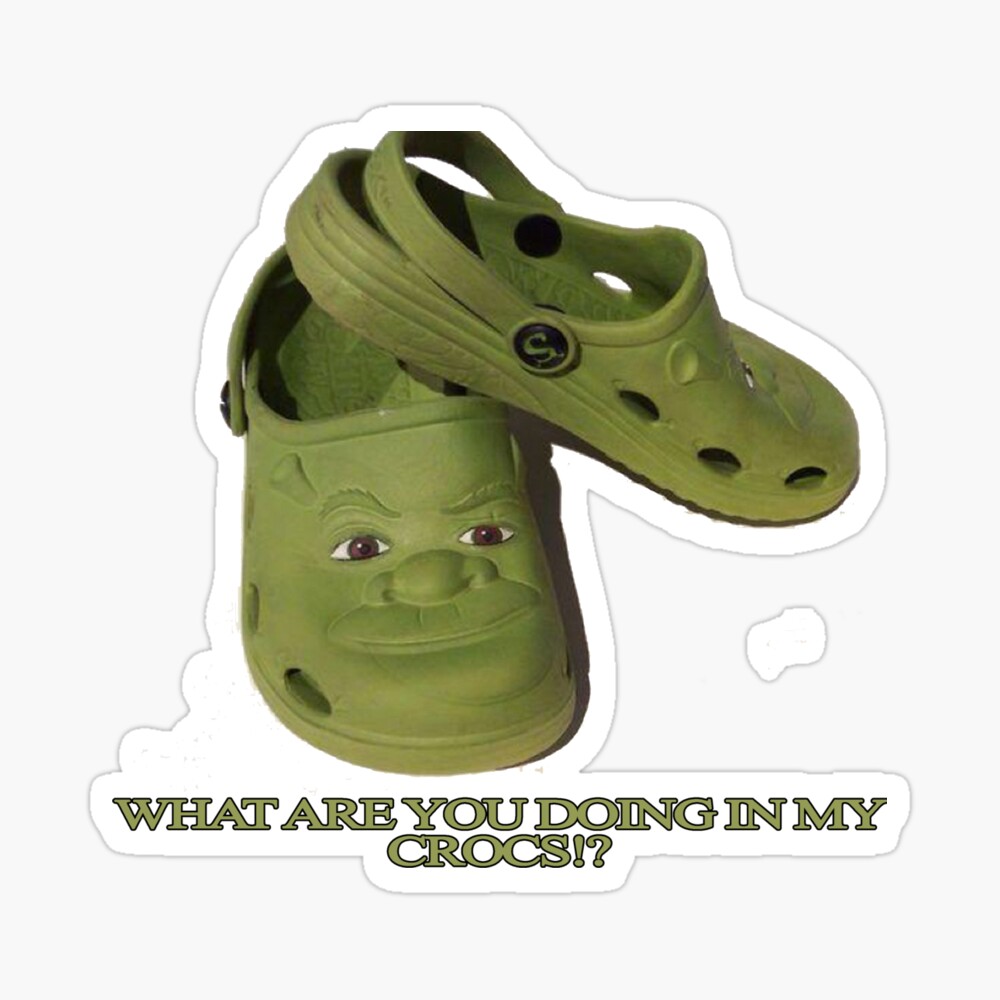 Fiona And Shrek Crocs Clog Shoes - Discover Comfort And Style Clog Shoes  With Funny Crocs