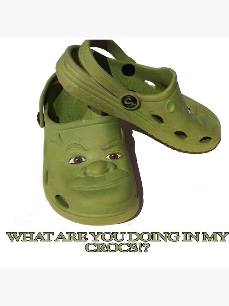 WHAT ARE YOU DOING IN MY SWAMP??? Run, don't walk to crocs.com!