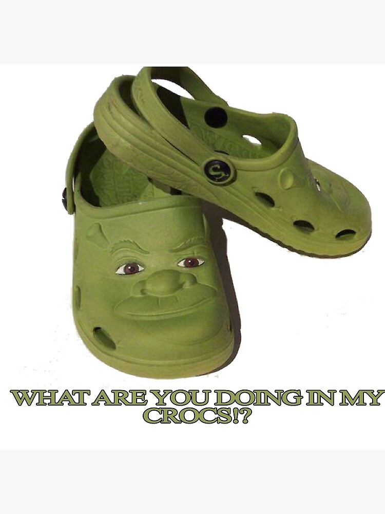 Shrek Finally Has His Own Shoe