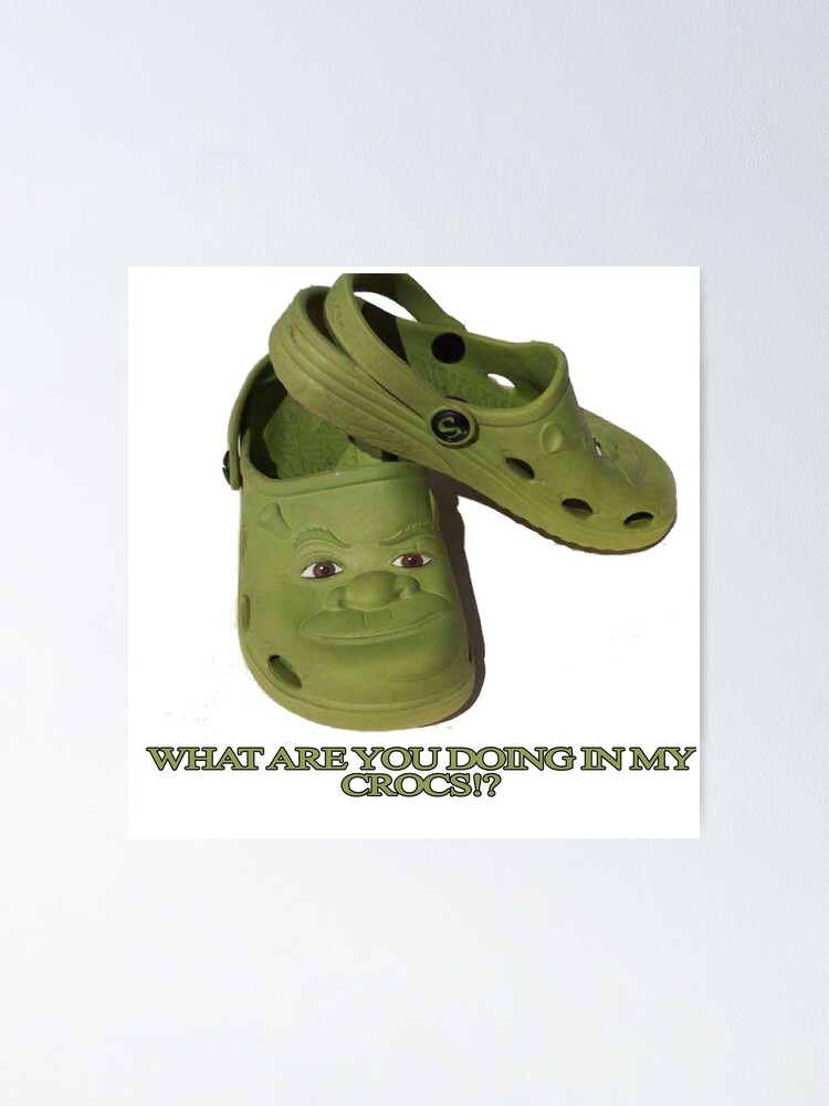 porcelain Warehouse Daughter What are you doing in my Shrek Crocs" Poster for Sale by apollosale |  Redbubble