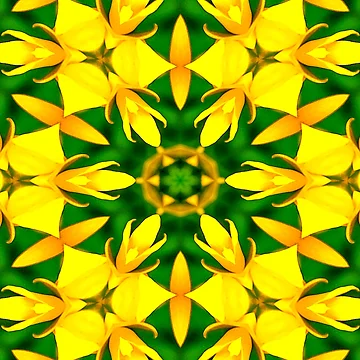 Artwork thumbnail, Cone Flower Pattern by Patternflower