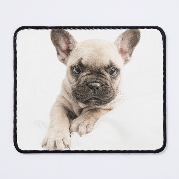 Item preview, Loveable designed and sold by ernest123.