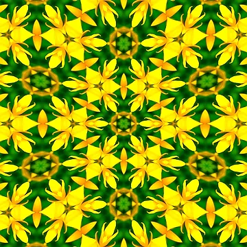 Artwork thumbnail, Cone Flower Pattern by Patternflower