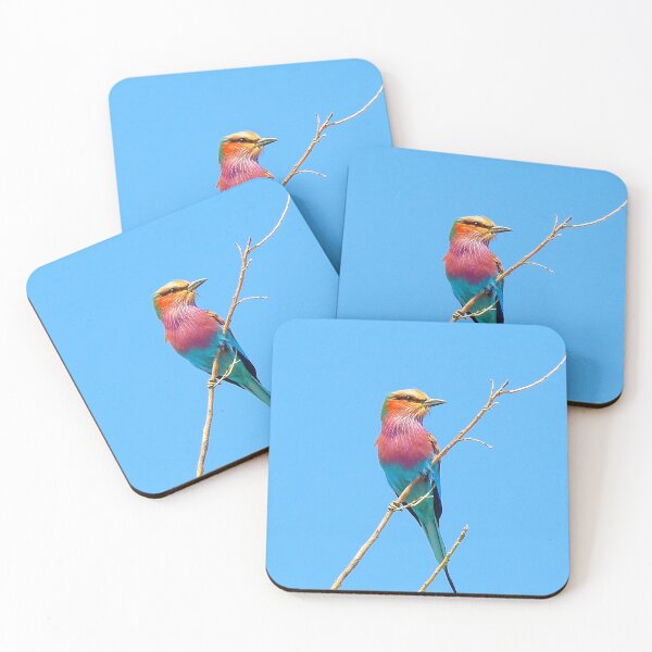 Item preview, Exotic African Bird  designed and sold by AussieAl.