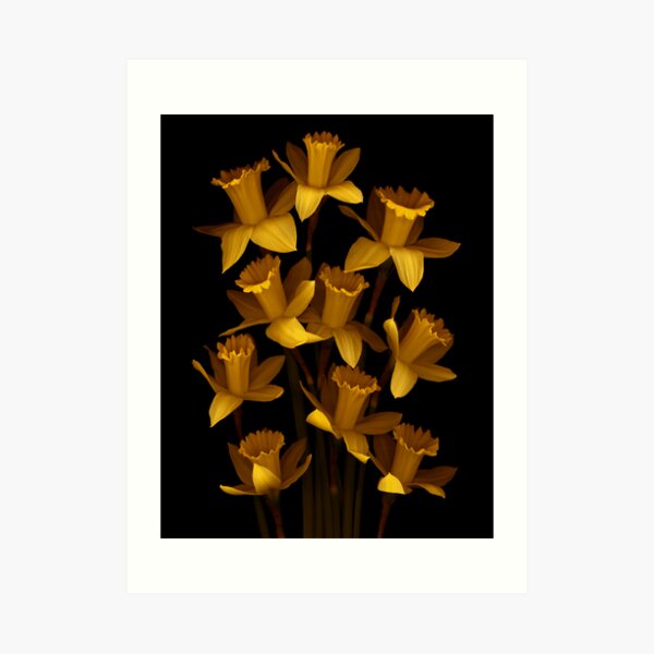 Dark Daffodils Art Print