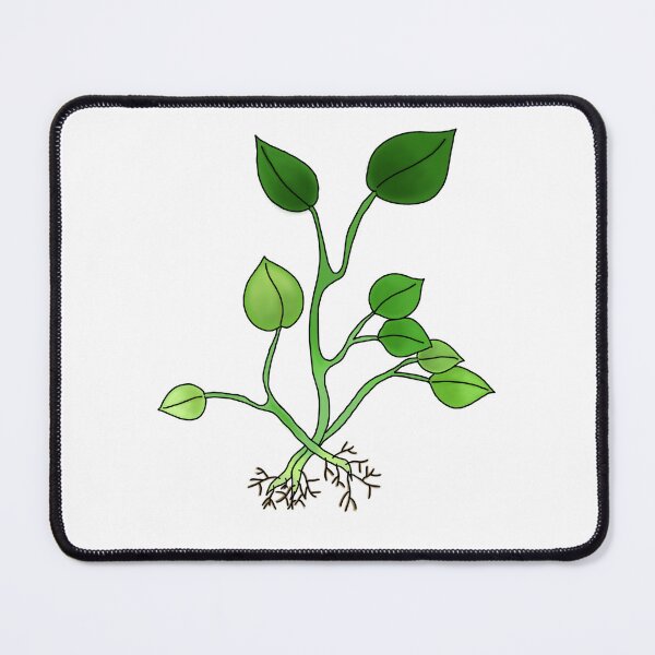 Item preview, Betel leaf designed and sold by Moonlight Rabbit.