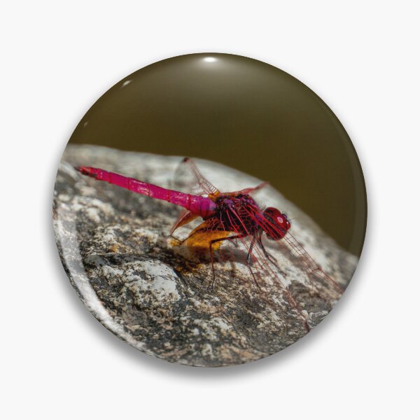 Item preview, Red Dragonfly designed and sold by PitakChai93.