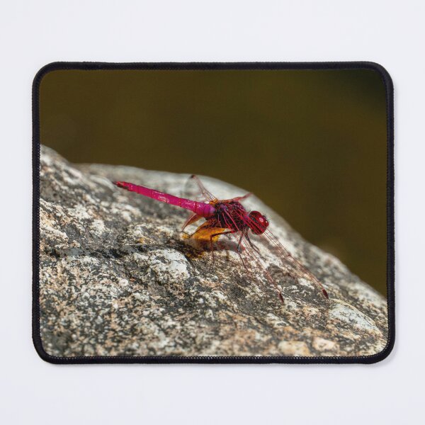 Item preview, Red Dragonfly designed and sold by PitakChai93.