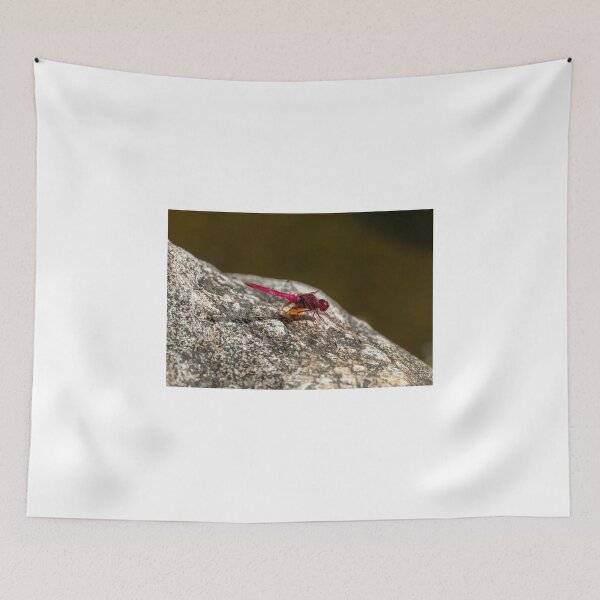 Item preview, Red Dragonfly designed and sold by PitakChai93.