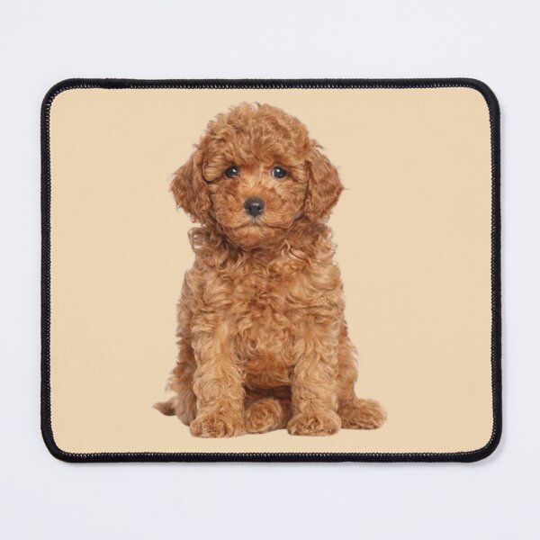 Item preview, Cute Puppy designed and sold by thecavapootales.
