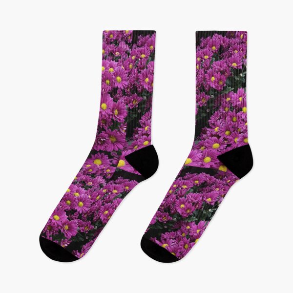 Item preview, Purple Mums designed and sold by foozma73.