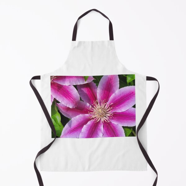 Item preview, Nelly Moser Clematis designed and sold by foozma73.