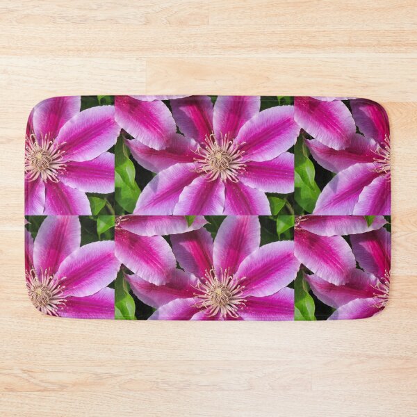 Item preview, Nelly Moser Clematis designed and sold by foozma73.