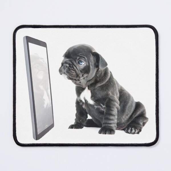 Item preview, Facetime Frenchie designed and sold by ernest123.