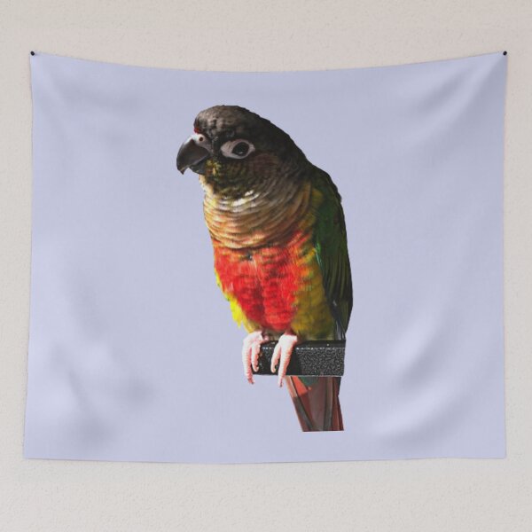Item preview, Green Cheek Conure design | Conure | Small Parrot | Parakeet | Parrot lover designed and sold by TatianaLG.